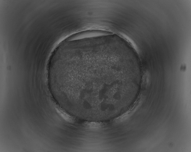X0000089911027200707131345