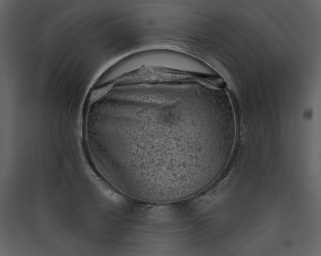 X0000089911028200707131345