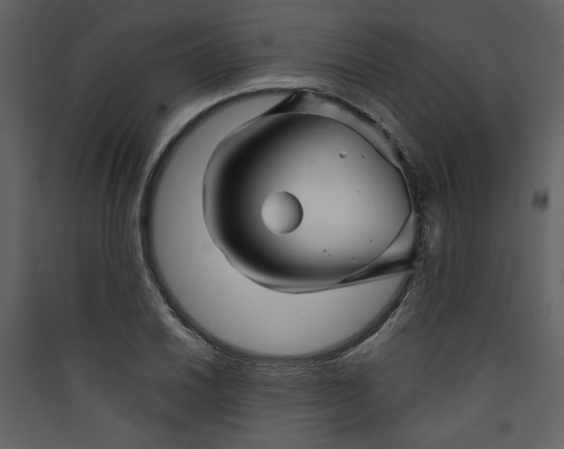 X0000089911030200707131345