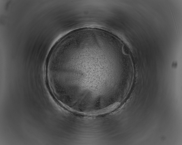 X0000089911032200707131345