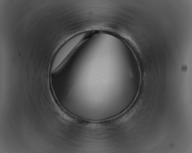X0000089911033200707131345