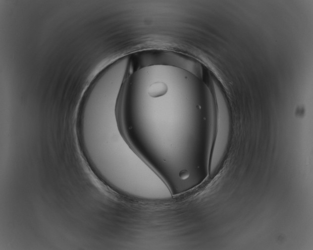 X0000089911034200707131345
