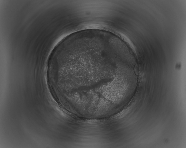 X0000089911035200707131345