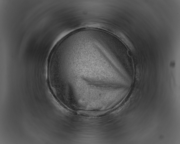 X0000089911036200707131345