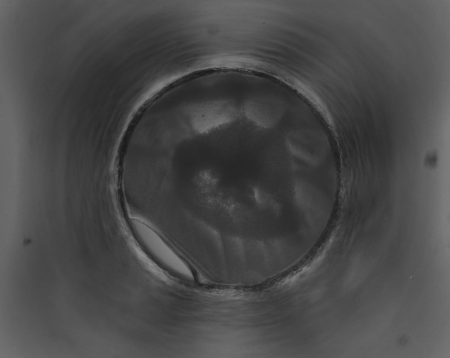 X0000089911037200707131345