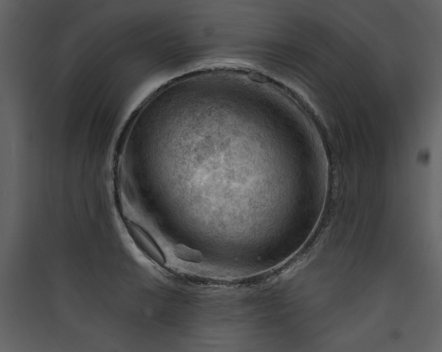 X0000089911038200707131345