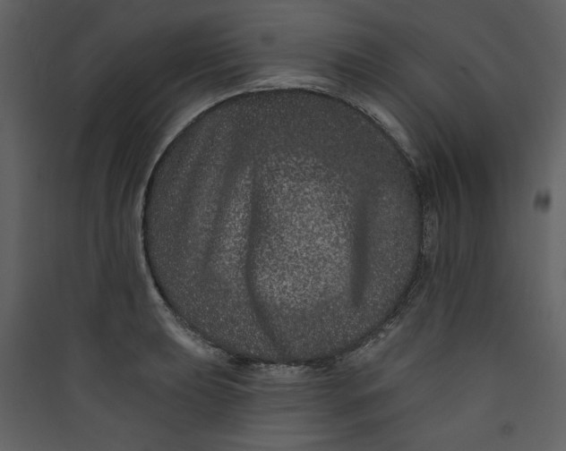X0000089911039200707131345