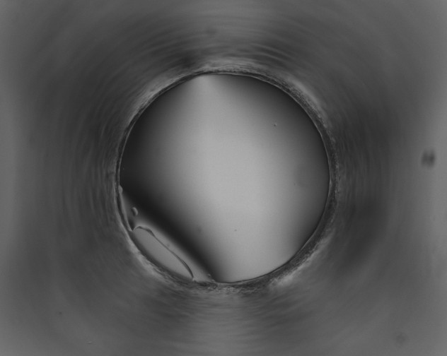 X0000089911041200707131345
