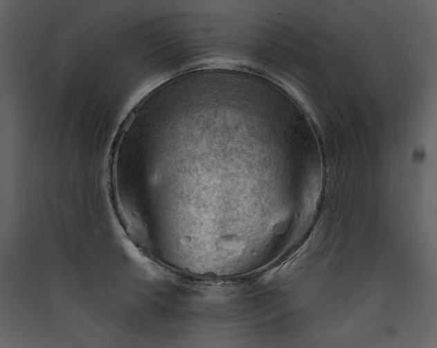 X0000089911042200707131345
