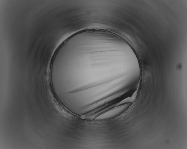 X0000089911044200707131345
