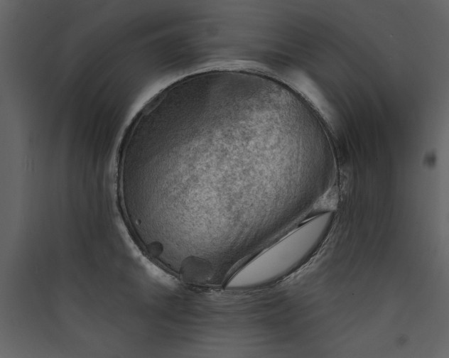 X0000089911046200707131345