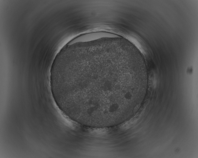 X0000089911047200707131345