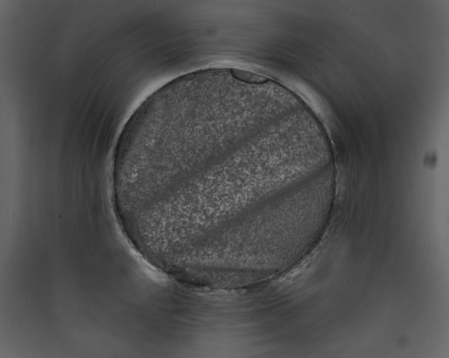 X0000089911048200707131345