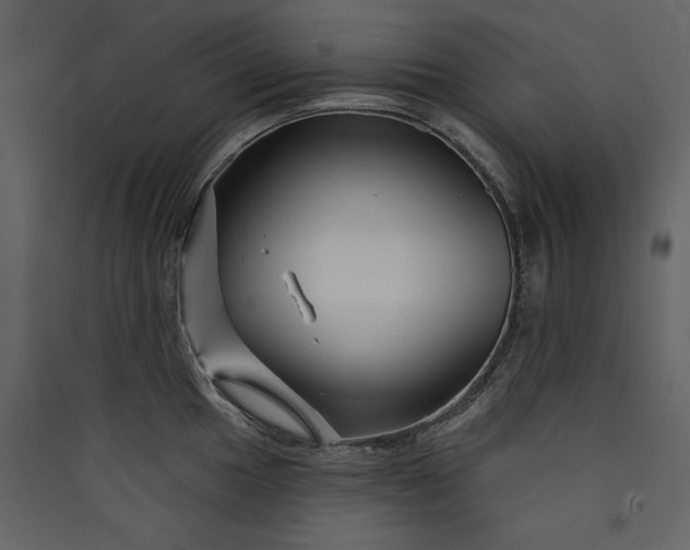 X0000089911049200707131345