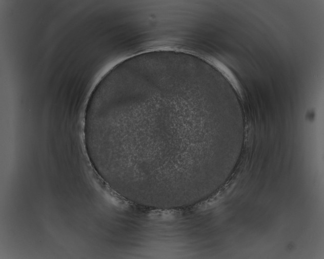 X0000089911051200707131345