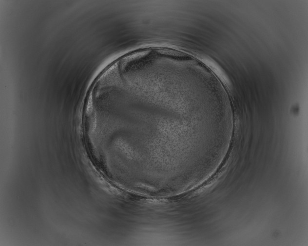 X0000089911052200707131345
