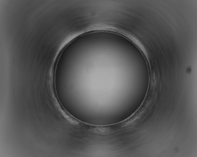 X0000089911053200707131345