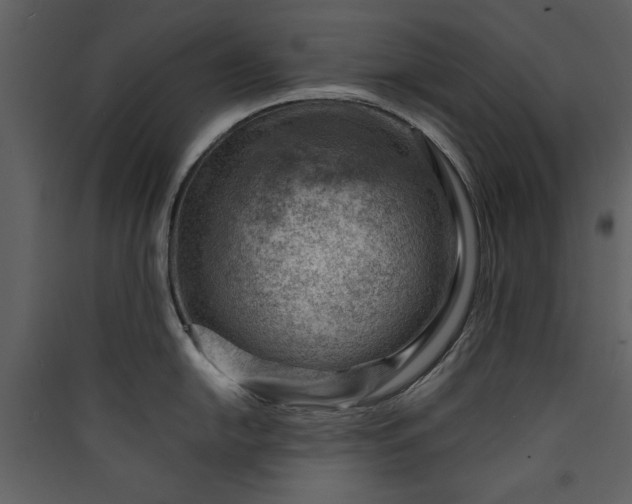 X0000089911054200707131345