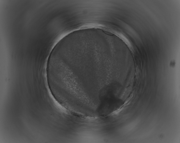 X0000089911055200707131345