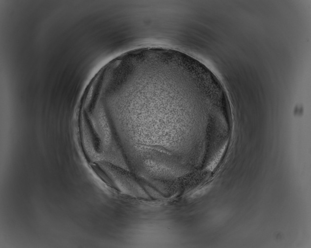 X0000089911056200707131345