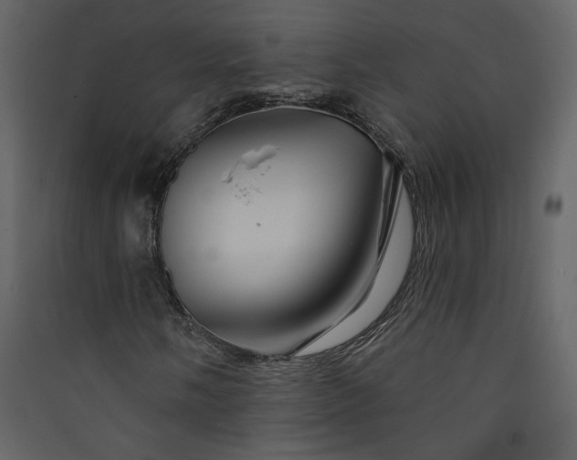 X0000089911058200707131345