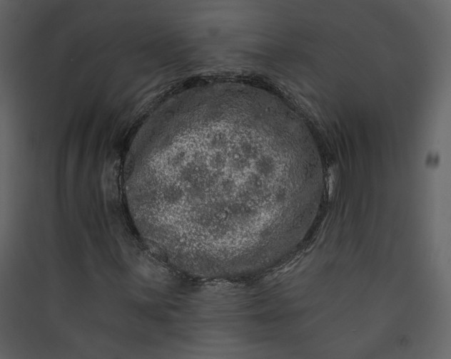 X0000089911059200707131345