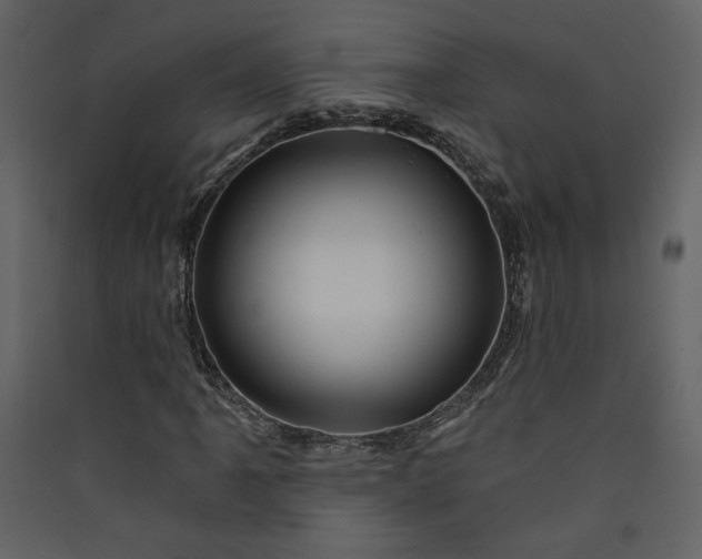 X0000089911061200707131345