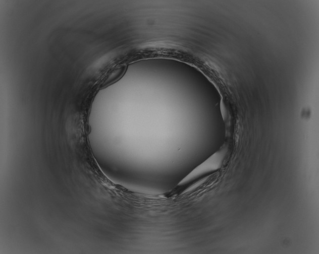 X0000089911062200707131345