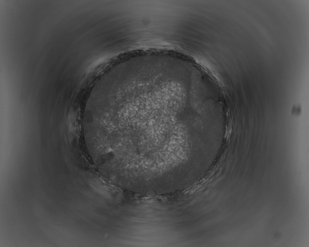 X0000089911063200707131344