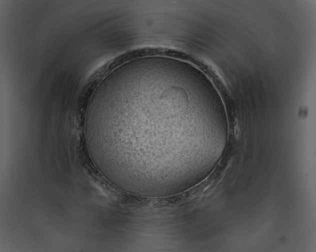 X0000089911064200707131344
