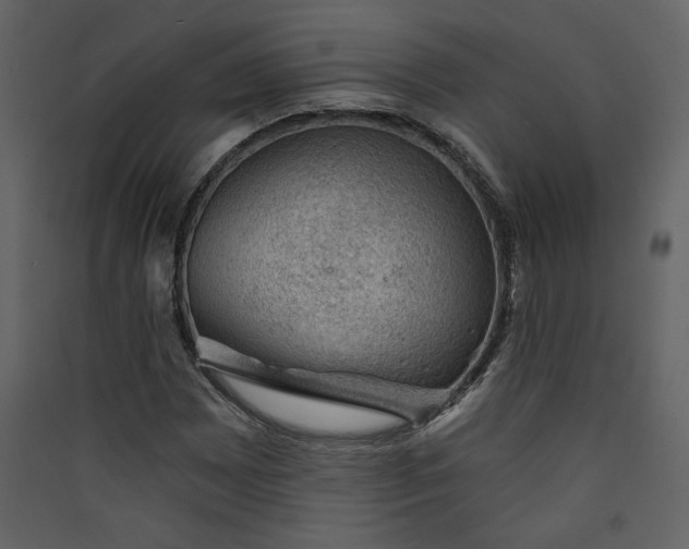 X0000089911065200707131344