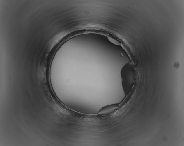 X0000089911066200707131344