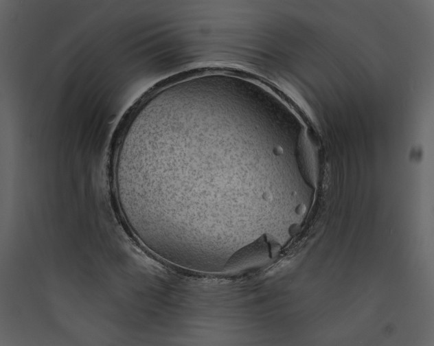 X0000089911068200707131344