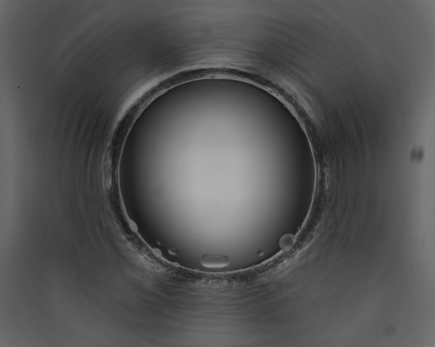 X0000089911069200707131344