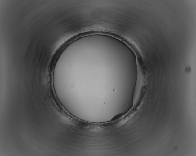 X0000089911070200707131344