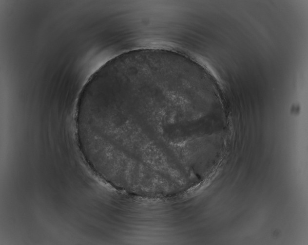 X0000089911071200707131344