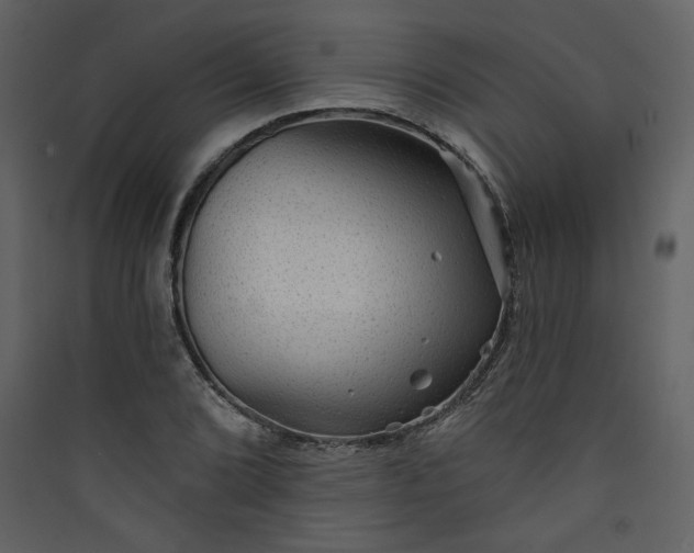 X0000089911072200707131344