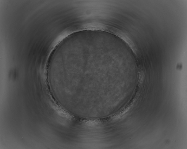 X0000089911074200707131344
