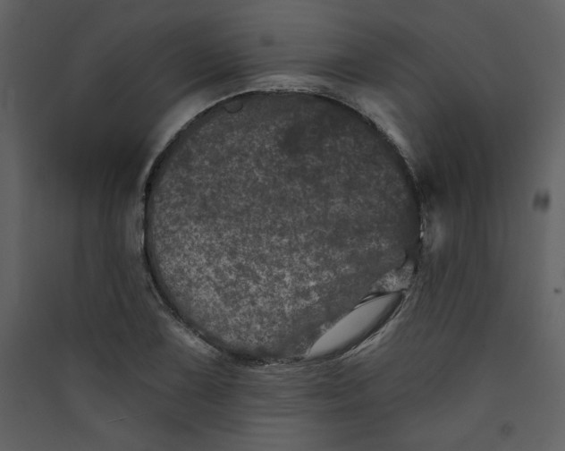 X0000089911075200707131344