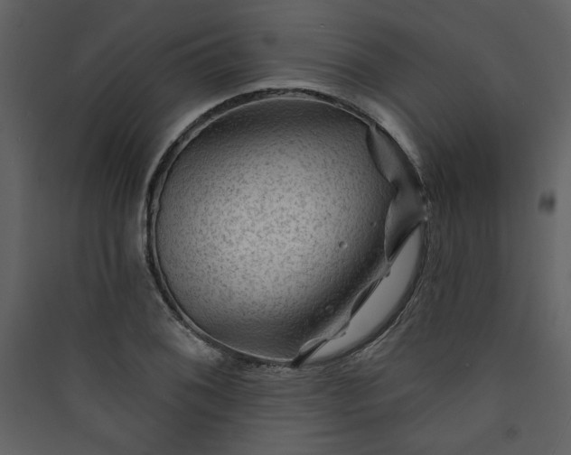 X0000089911076200707131344