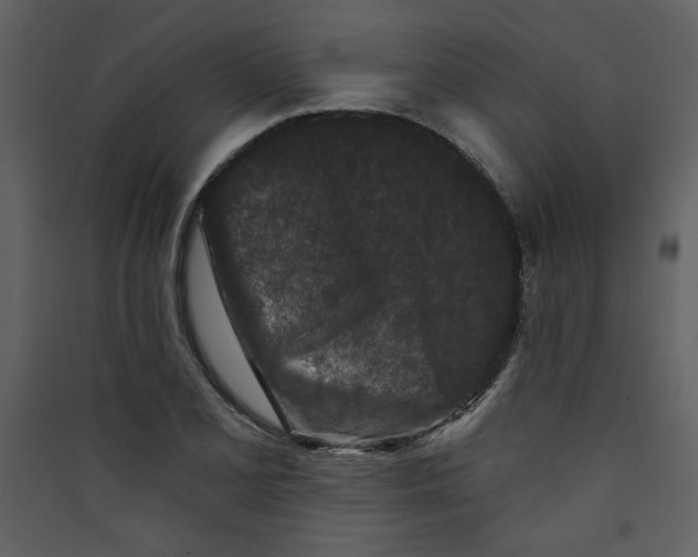 X0000089911077200707131344