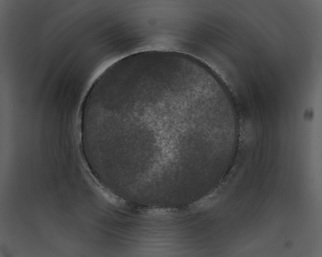 X0000089911078200707131344