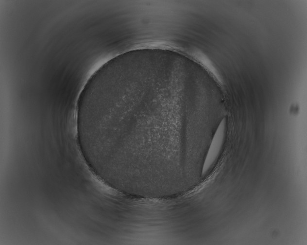 X0000089911079200707131344
