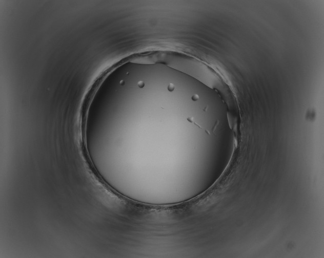 X0000089911080200707131344
