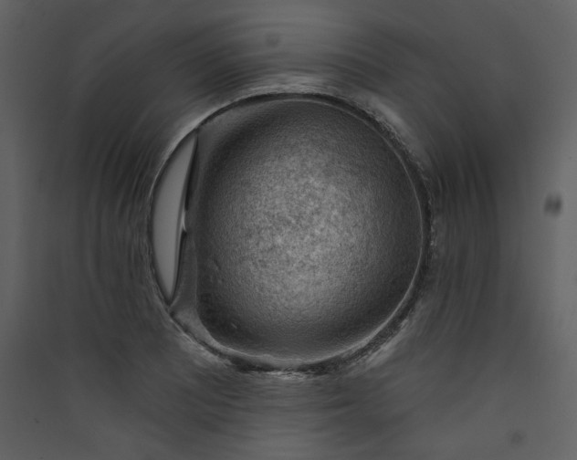 X0000089911081200707131344