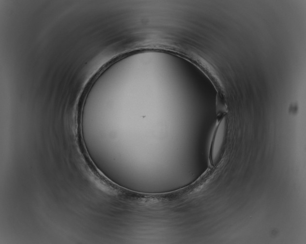 X0000089911082200707131344