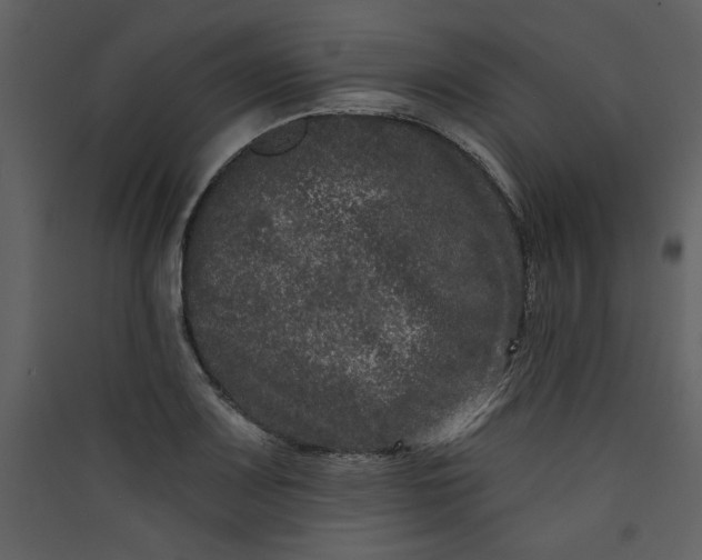 X0000089911083200707131344