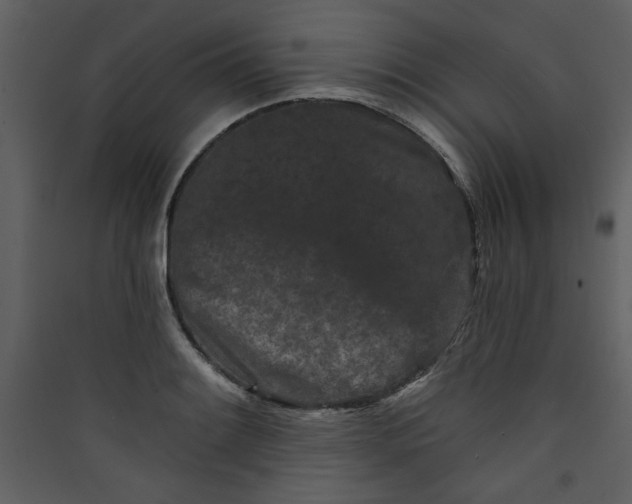 X0000089911084200707131344