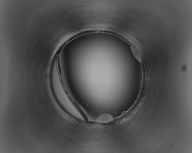 X0000089911085200707131344