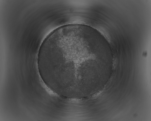 X0000089911086200707131344